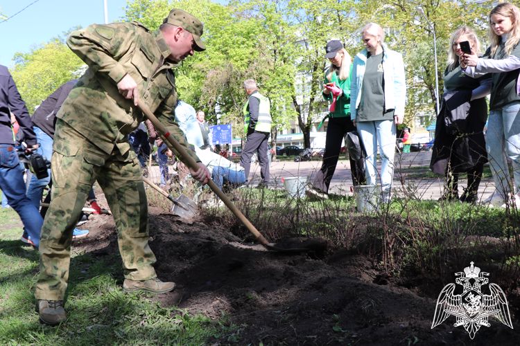 В Калужской области росгвардейцы присоединились к международной акции «Сад памяти»