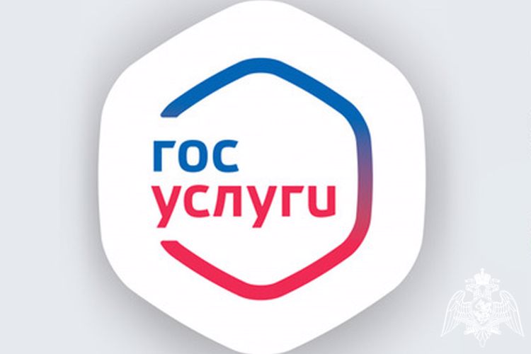 Росгвардия информирует, что списанное оружие можно зарегистрировать через портал Госуслуг