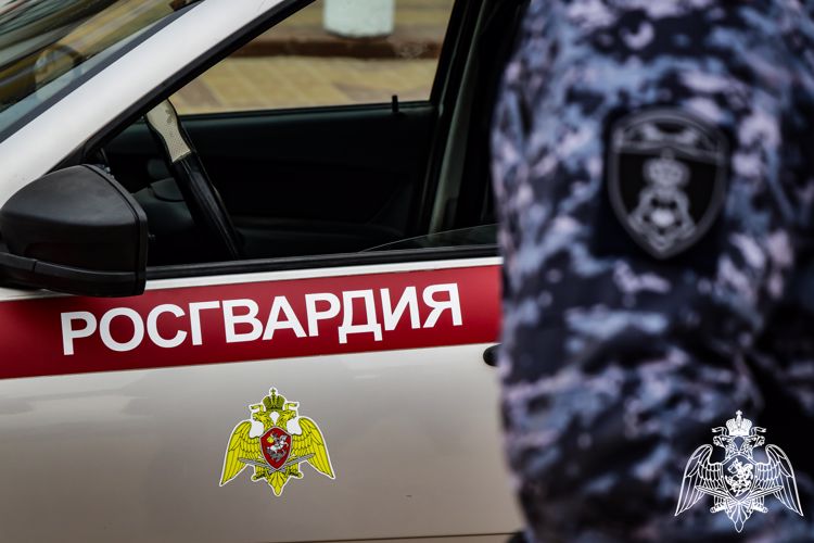 Нарядом вневедомственной охраны задержан пьяный автоугонщик