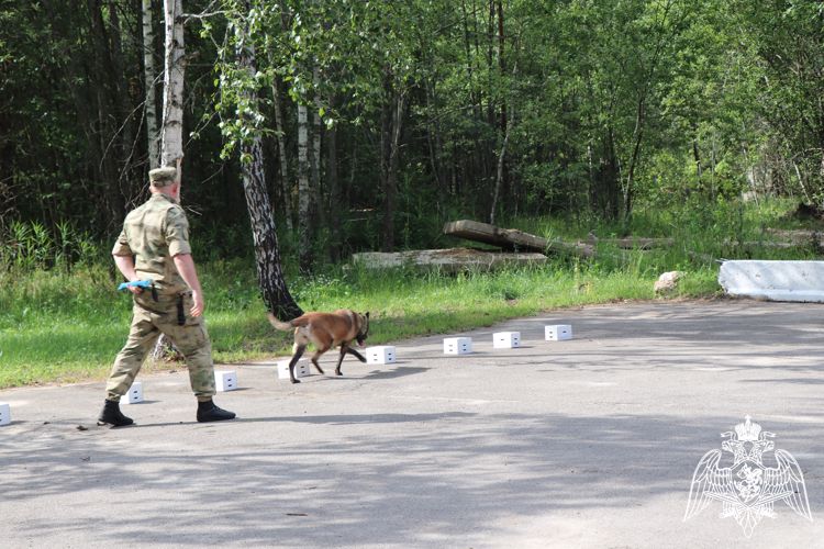 В Калуге прошли мероприятия в рамках всероссийского ведомственного проекта «Каникулы с Росгвардией» 
