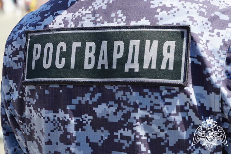 Росгвардия передала 200 единиц оружия в зону СВО