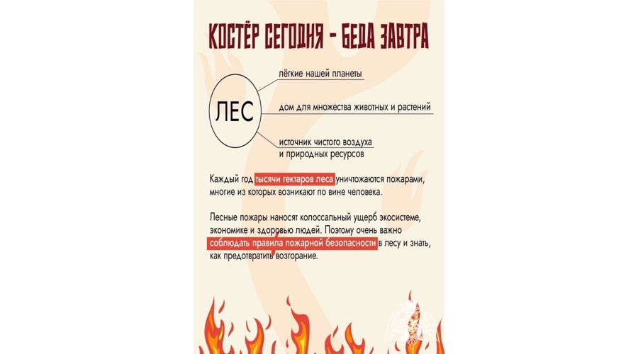 Росгвардия информирует о наступлении пожароопасного периода