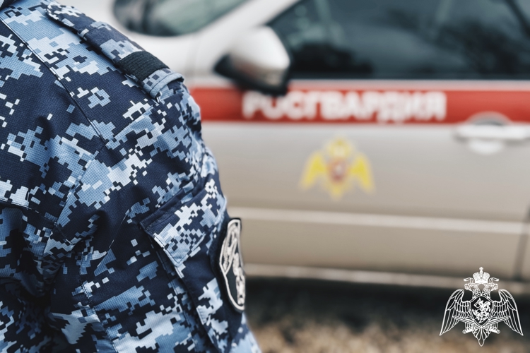 Более 60 административных правонарушений пресекли росгвардейцы в Калужской области за неделю